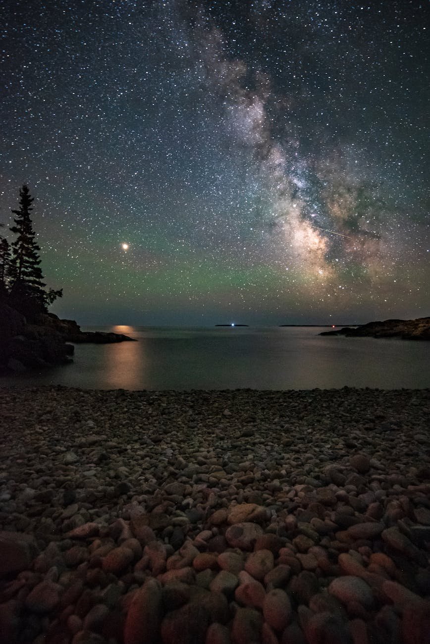 green pine tree near body of water during night time
