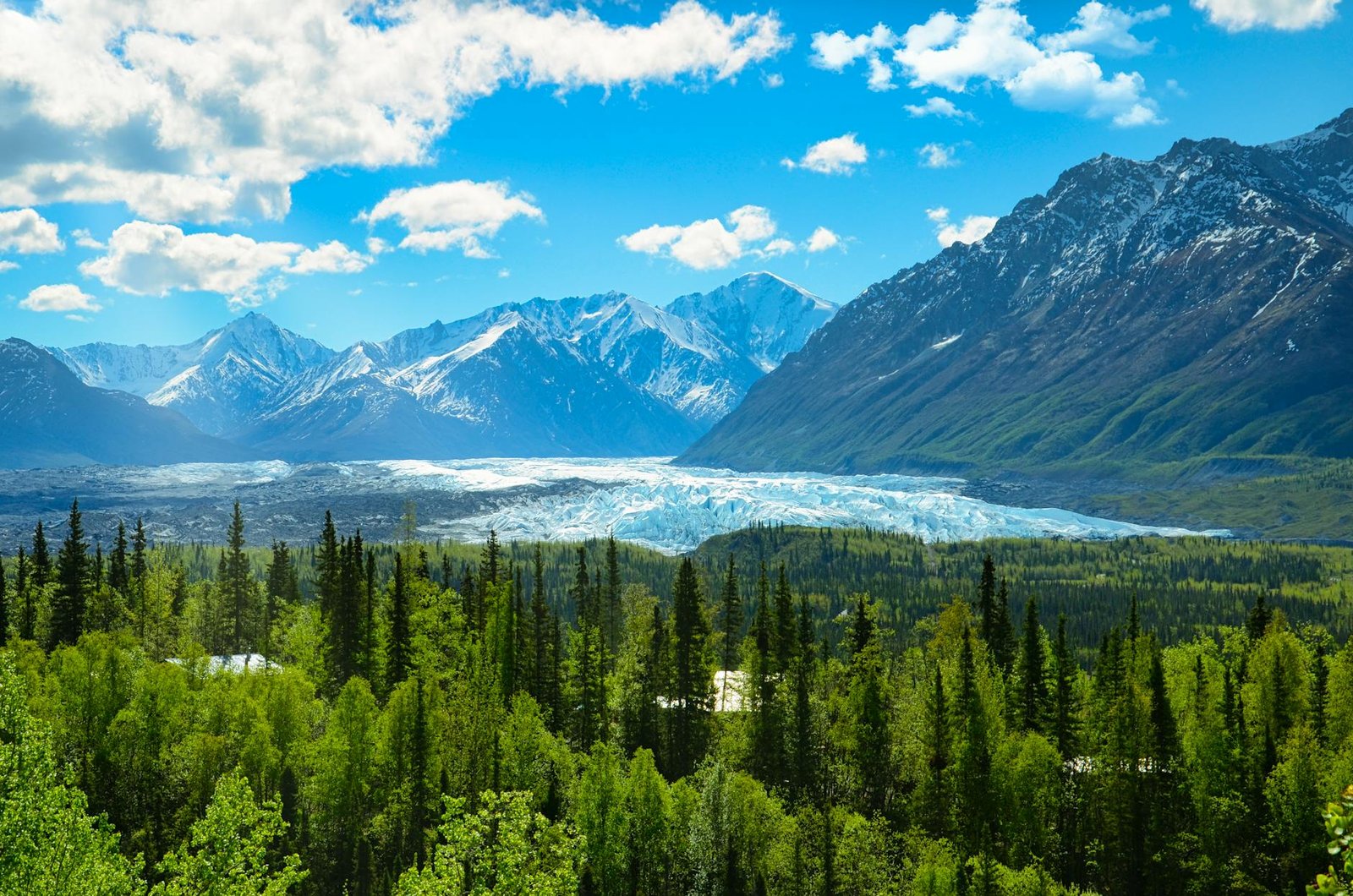 scenic view of mountains near the trees