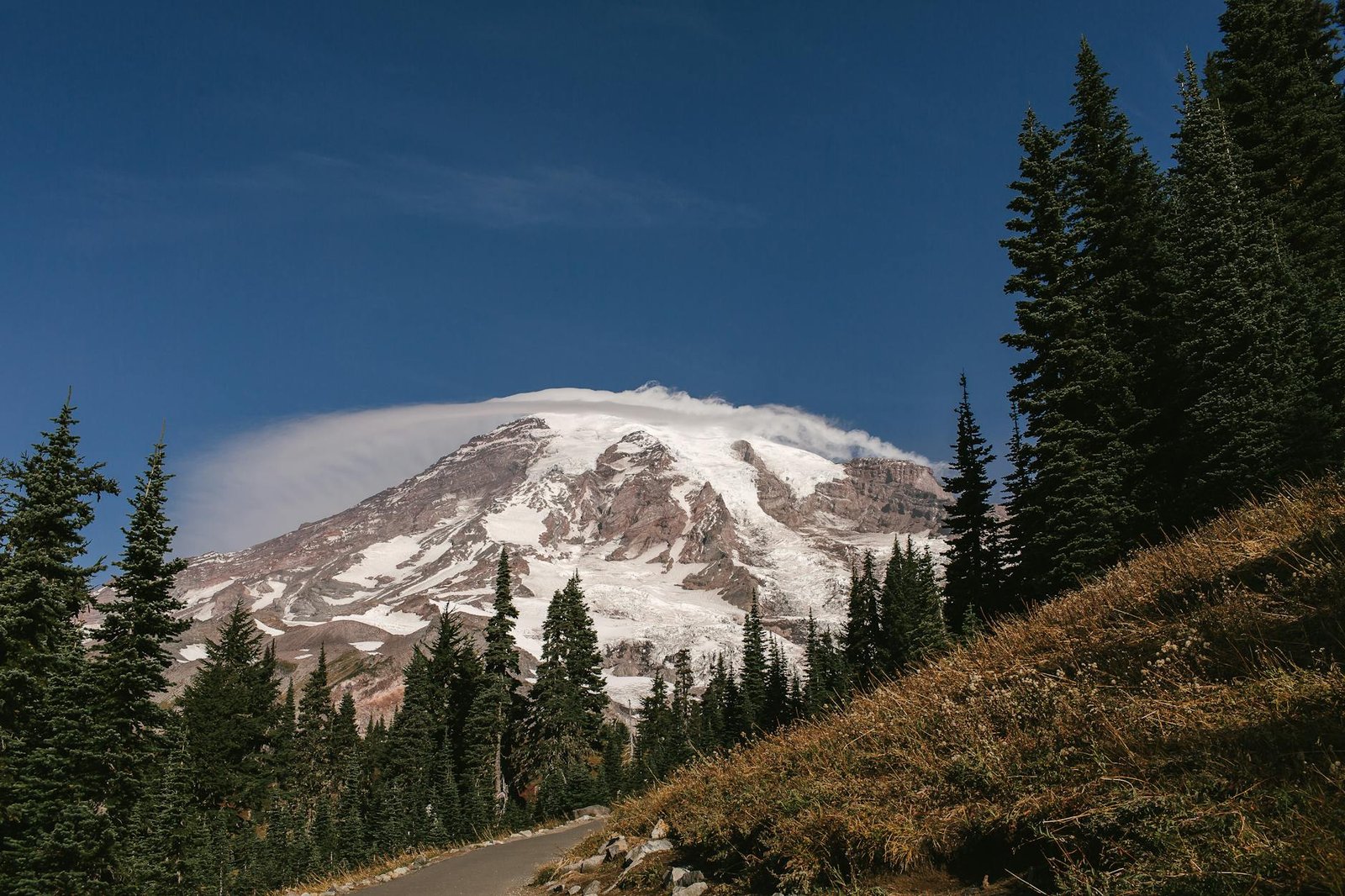 green pine trees near snow covered mountain under blue sky