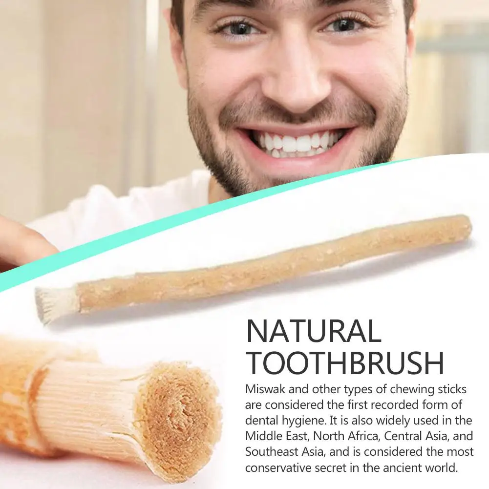 Natural Miswak Toothbrush β Traditional Arak Teeth Cleaner & Whitening Stick (Travel-Friendly) - Image 6